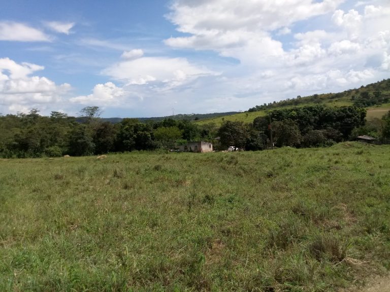Vende-se excelente Fazenda, região Palmital Vende-se excelente Fazenda, região Palmital