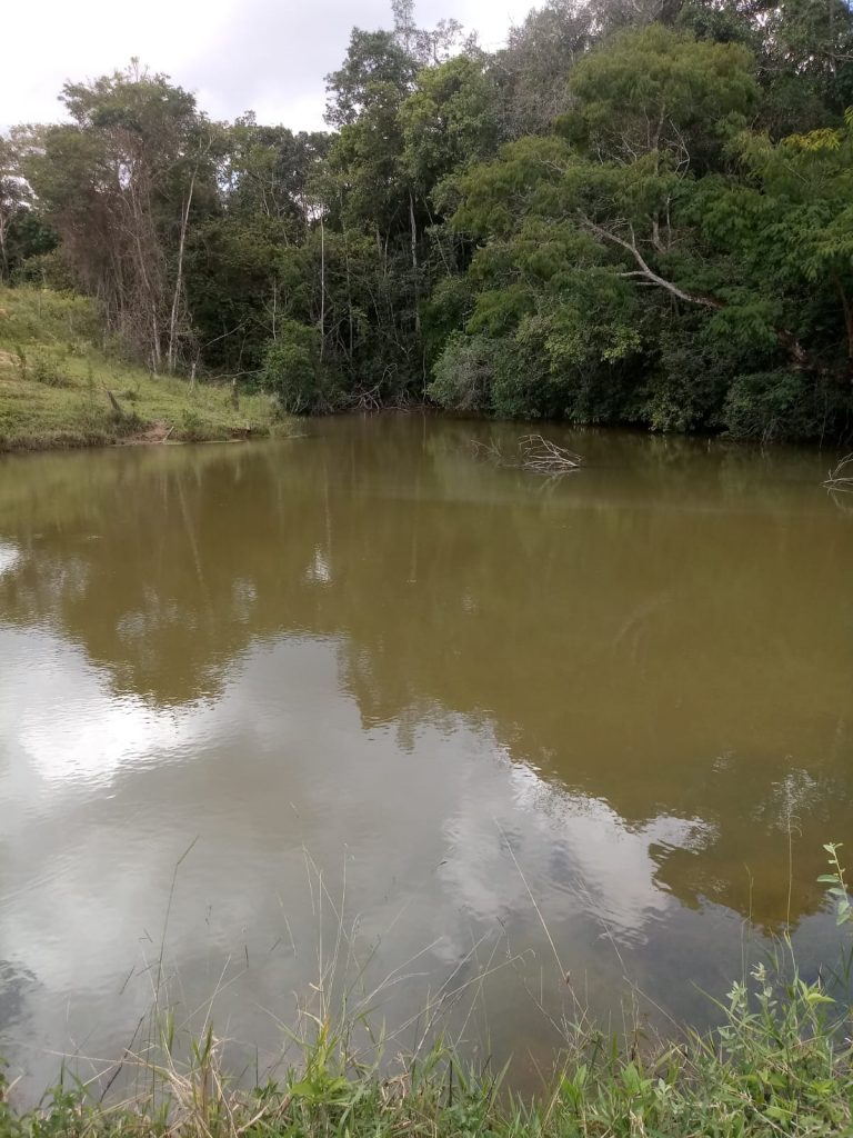 Vende-se excelente Fazenda, região Palmital Vende-se excelente Fazenda, região Palmital