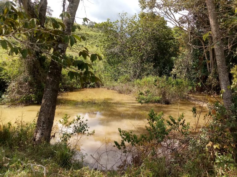 Vende-se excelente Fazenda, região Palmital Vende-se excelente Fazenda, região Palmital