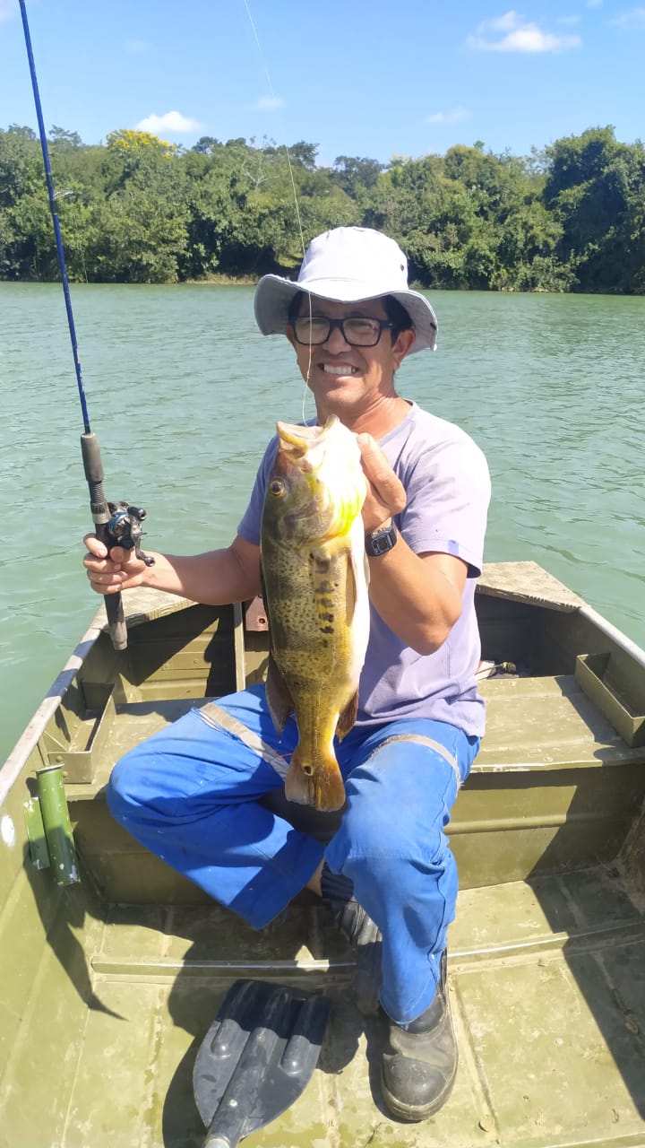 Vende-se excelente Chácara Vende-se excelente Chácara