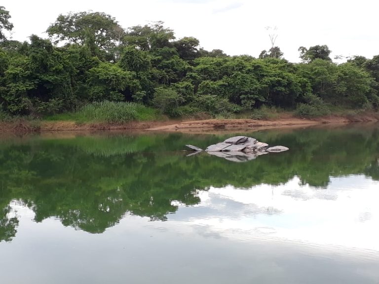 Vende-se excelente Chácara Vende-se excelente Chácara